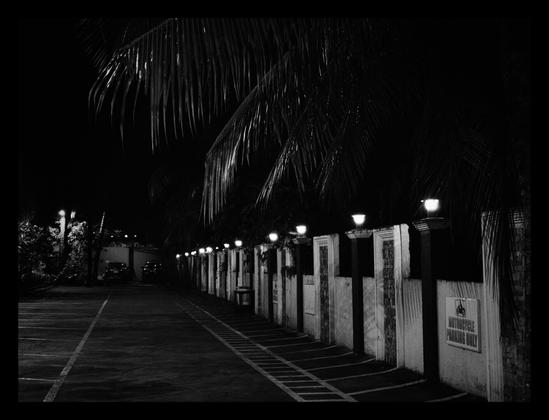 A black and white photograph of a parking area at night. A row of evenly spaced lights illuminates a textured wall with "MOTORCYCLE PARKING ONLY" signs. Palm tree fronds extend into the frame from the top, adding a tropical feel to the scene. There are two SUVs in the distance on the left side of the picture. - Google Gemini