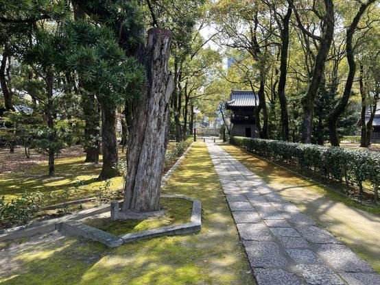 A stoned alley in a temple complex, with moss on the ground, various trees, and a wooden temple in the background.