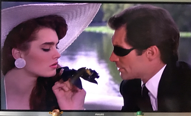 Scene from the Brenda Starr movie with Basil (Timothy Dalton) showing Brenda (Brooke Shields) the black flower.