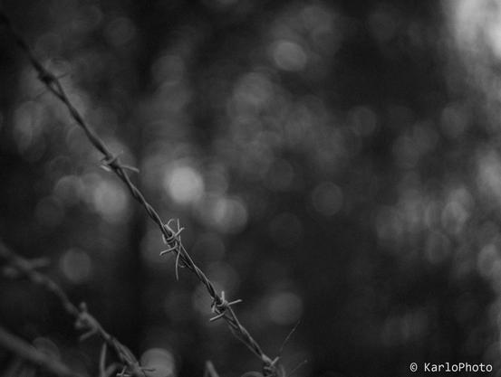 A black and white photo of some barbed wire.