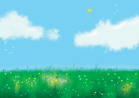 Field of grass and flowers under a blue sky with a few white clouds.