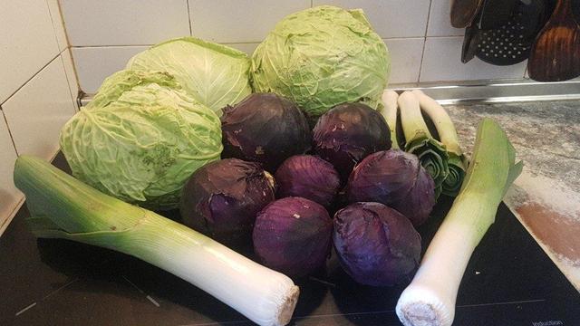 Contenido de la cesta de la semana sobre una encimera de cocina.
En primer plano, dos puerros gruesos en uve entre los que hay unas lombardas pequeñas.
Detrás, a la derecha unos puerros medianos. Y en el centro e izquierda tres repollos.