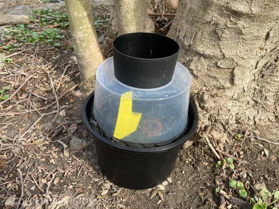 Black bucket topped by a clear plastic dome that has a funnel on the top. Pregnant female mosquitoes enter through the funnel in search of stagnant water, then can't escape because they can't navigate back through the funnel and because they will also get stuck on the yellow sticky card suspended in the chamber. A cloth mesh prevents eggs from developing in case a female oviposits inside the container.