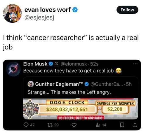Tweet from Evan (@esjesjesj) with a profile picture of a person holding a child. The tweet says, "I think 'cancer researcher' is actually a real job." Below, there is a screenshot of a tweet from Elon Musk (@elonmusk) replying to a post from Gunther Eagleman™ (@GuntherEagle...), which features an image labeled "D.O.G.E. CLOCK" displaying a large monetary figure and "SAVINGS PER TAXPAYER" amount. Musk's reply reads, "Because now they have to get a real job 😂."