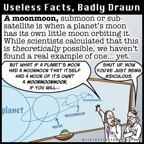 A moonmoon, submoon or sub-satellite is when a planet's moon has its own little moon orbiting it. While scientists calculated that this is theoretically possible, we haven't found a real example of one... yet.