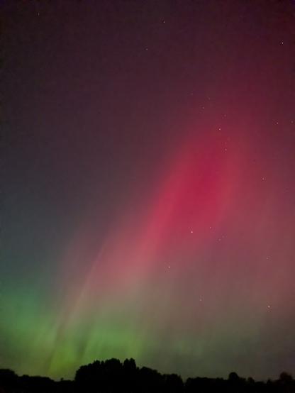Aurora borealis with red and green ripples above dark treetops. 

Aurora boreal com ondulações vermelhas e verdes acima das copas escuras das árvores.

Karanlık ağaç tepelerinin üzerinde kırmızı ve yeşil dalgalarla Aurora borealis.

Aurora borealis yenye viwimbi vyekundu na kijani juu ya vilele vya miti giza.

Aurora boreal con ondas rojas y verdes sobre las copas oscuras de los árboles.

Aurora borealis med røde og grønne krusninger over mørke trætoppe.

Aurore boréale avec des ondulations rouges et vertes au-dessus des cimes sombres des arbres.

الشفق القطبي مع تموجات حمراء وخضراء فوق قمم الأشجار المظلمة.