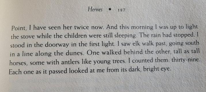 And this morning I was up to light the stove while the children were still sleeping. The rain had stopped. I stood in the doorway in the first lught. I saw elk walk past  going south in a line along the dunes. One walked behind the other, tall as tall horses, some with antlers like young trees. I counted them: thirty-nine. Each one as it passed looked at me from its dark, bright eye.