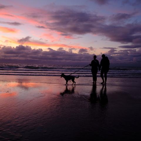 Shadow of a Couple with a dog walk on the beach during sunset after a thunder