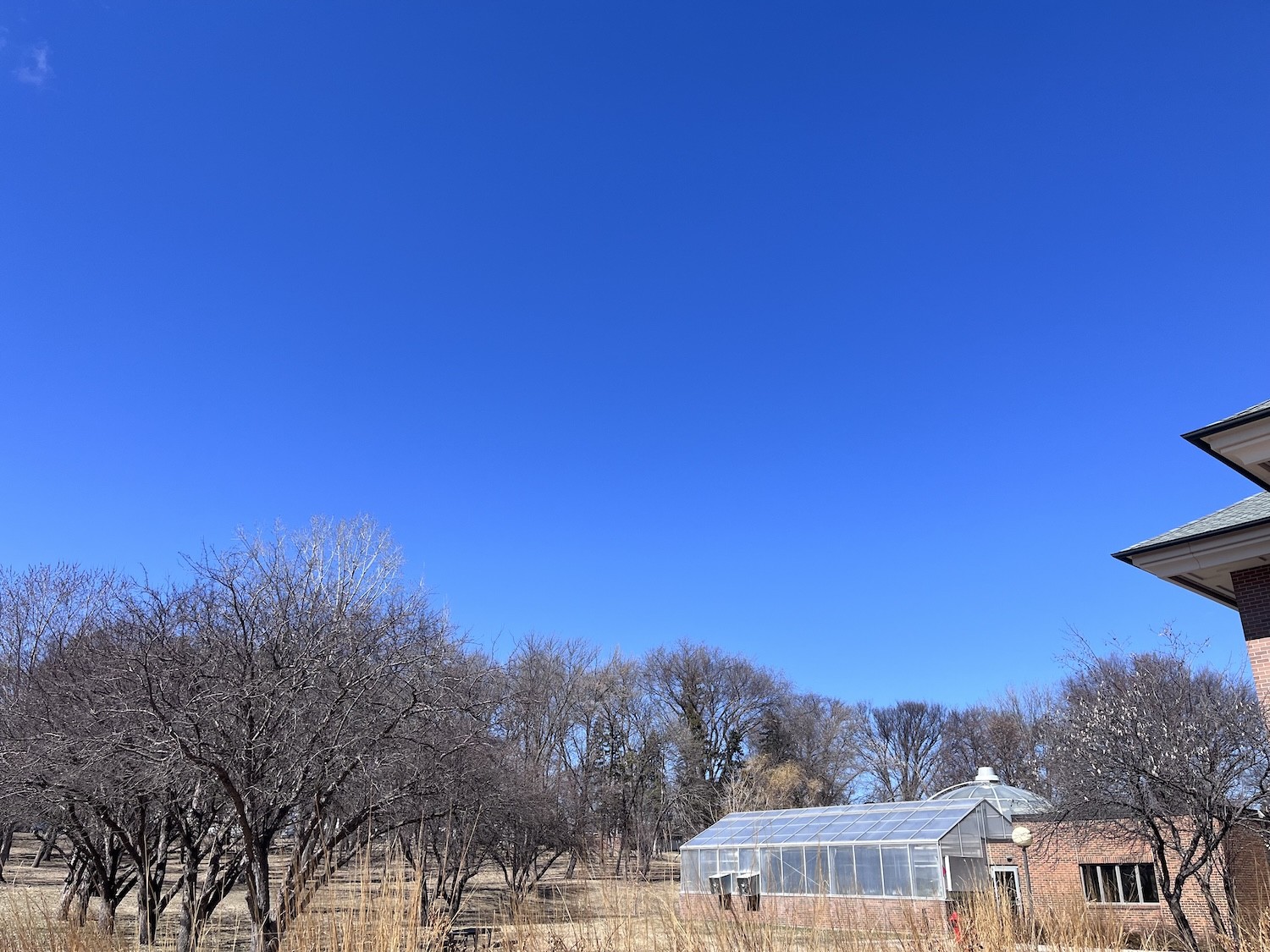 Sky above Morris, MN on 31 March