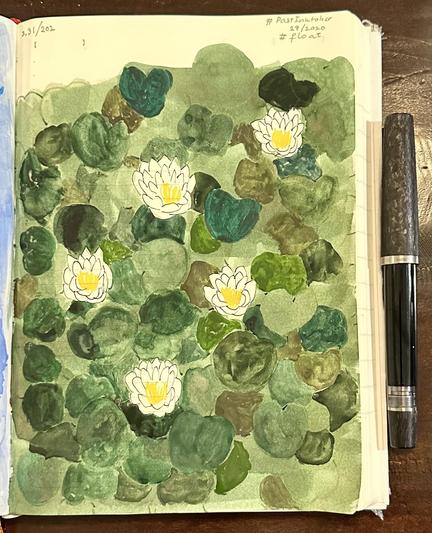 Water lilies