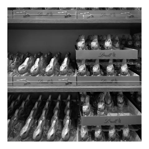 A square black and white photo. It shows parts of a shelf with trays of chocolate easter bunnies. The bunnies all look into the same direction.