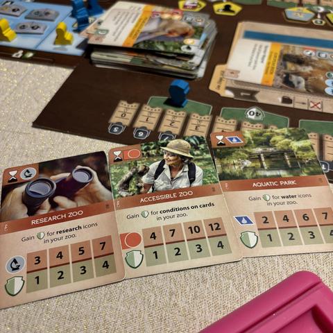 Ark Nova, end of the game. Three final scoring cards, conservation marker at the end of the track.