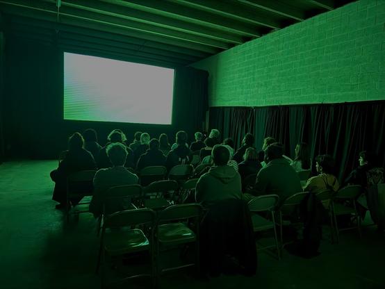 A group of people watching the screen in a cinema-like setting. The screen is a bit overexposed but we can still make out a pattern of green lines on the screen.