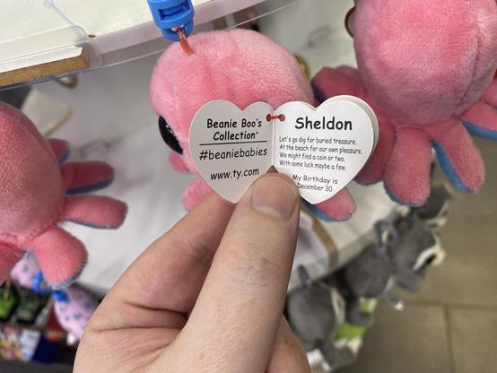 A heart shaped label reads, "Beanie Boo's Collection" 

#beaniebabies
www.ty.com

"Sheldon

Let's go dig for buried treasure. 
At the beach for our own pleasure. 
We might find a coin or two. 
With some luck, maybe a few. 

My Birthday is December 30."