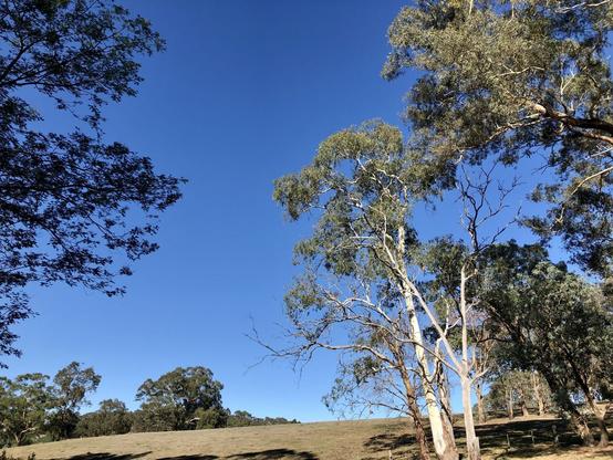 Dry, bare hill.