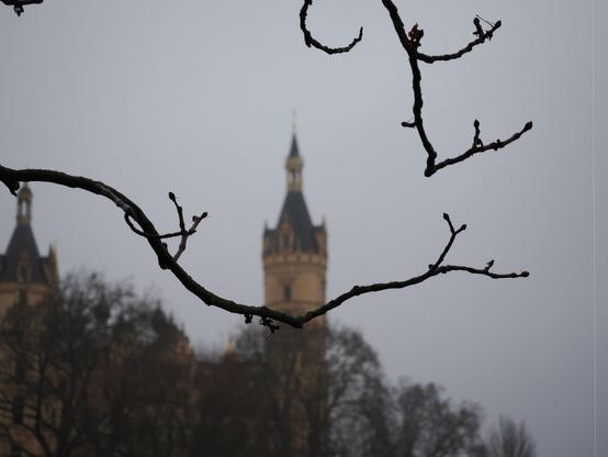 The image shows a blurred view of a castle with a focus on barren tree branches in the foreground. The castle has distinctive spires and a tower, lending an atmospheric and somewhat Gothic feel to the photo. The overall mood is moody and overcast.