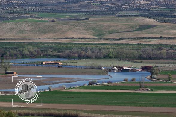 las huertas siguen inundadas en Añover de Tajo