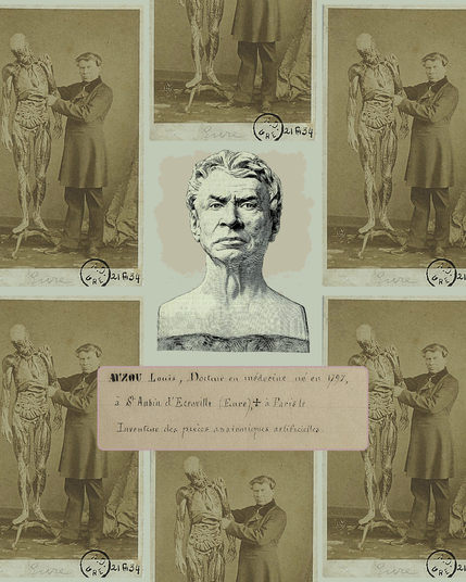 Montage d'une photographie du Docteur avec un écorché taille réelle à ses côtés, et un dessin du buste et du visage de ce-dernier