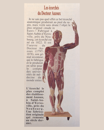 Petit article d'Eure Magazine, quelques phrases entourant un écorché en couleur du Docteur.