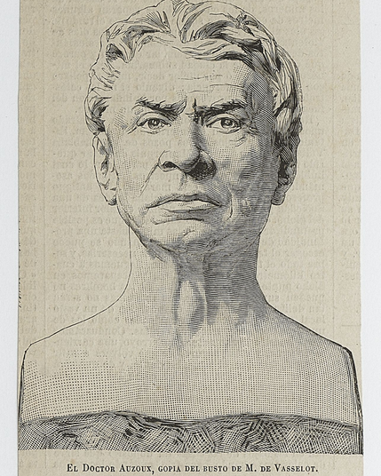 Dessin du buste du docteur