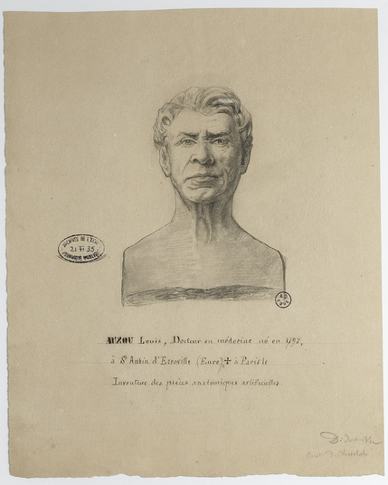 dessin du buste du docteur