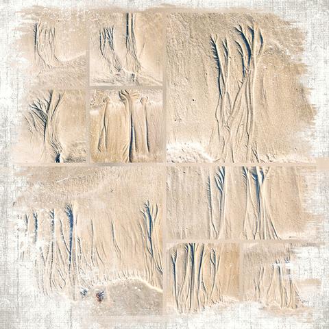 Collage de plusieurs photos représentant les dessins laissés sur le sable de la plage par les vagues. Cela ressemble à de grands arbres.