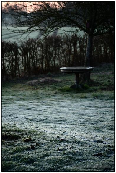 Das hochformatige Foto zeigt scharf im Vordergrund eine von Raureif weiß überpuderte Rasenfläche, unscharf im Mittelgrund ist ein kahler Apfelbaum zu sehen, unter dessen Zweigen ein runder, hölzerner Tisch ohne Stühle drumherum steht. Dahinter verläuft eine ebenfalls kahle, gestutzte Hecke waagericht durchs Bild, im Hintergrund schließlich ist ein grüner Acker zu sehen, der in der Ferne von Bäumen begrenzt wird. Darüber ein schmaler Striefen rosa angehauchten, klaren, frühmorgendlichen Himmels.