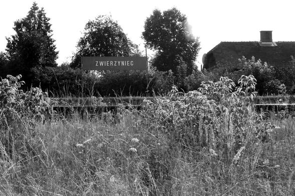 Zarośnięta stacja kolejowa, napis "Zwierzyniec"