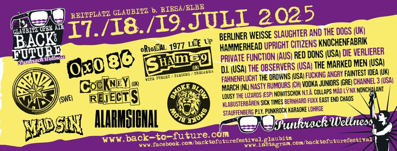 flyer for back to future Festival