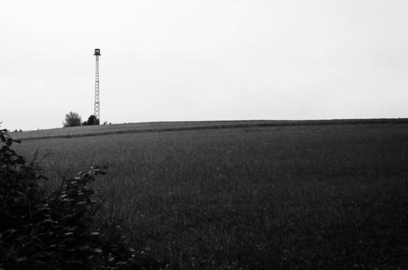 Łagodny pagórek, na nim obserwacyjna wieża przeciwpożarowa