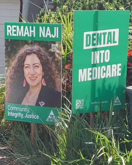 A yard signs for Remah Naji and a "Dental Into Medicare" yard sign in a garden.  Remah's sign says "Remah Naji", with a picture of Remah and "Community, Itegrity, Justice" below.