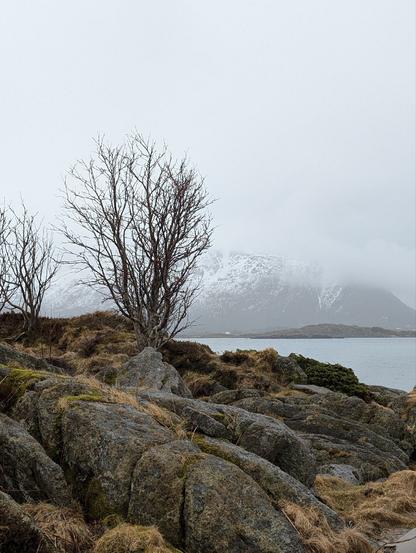A cold, damp scene. A low rise of grey boulders topped with pale yellow grass in patches sits in front of a stretch of water. We can only see a little of the flat, cold water behind the rocky foreground which slopes up gently to the left. A couple of tall, leafless bushes stick up as black skeletal silhouettes against the scenery beyond the water. Mountains with snowy tops disappear into the low cloud that soaks the landscape.