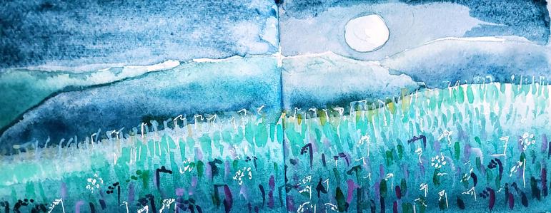 Grassy hills by moonlight