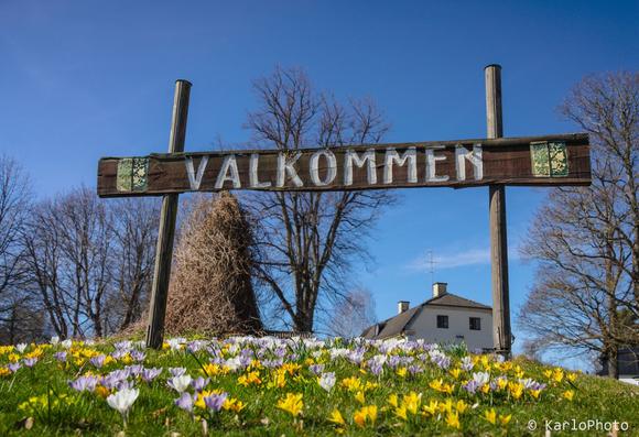 A welcome sign on a small hill filled with flowers.