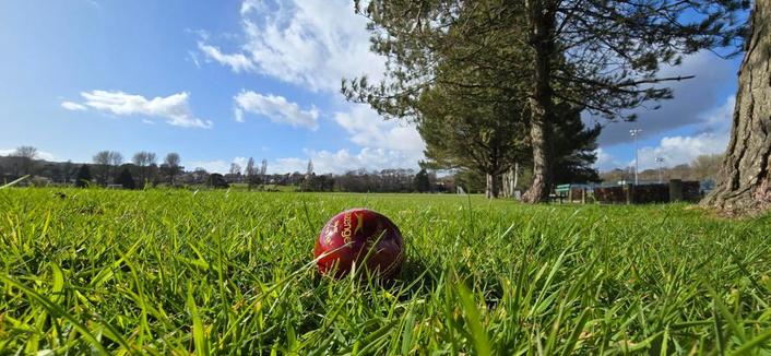 Cricket ball on grass