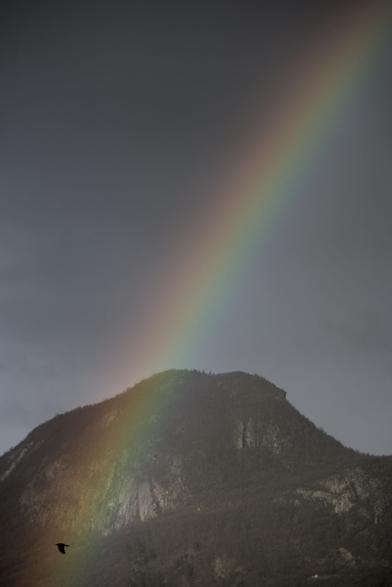Photo d'un arc-en-ciel devant un ciel gris et une montagne.
Au bout de l'arc-en-ciel, une corneille vole.