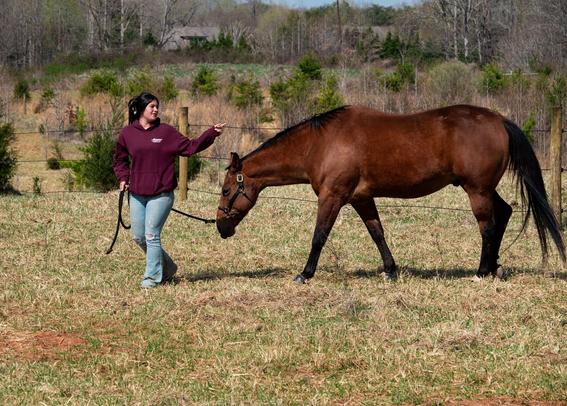 After asking me if I'm getting any good shots, this sweet young lady is pointing to a spot I could go at the next paddock over where a very curious gray horse will come right up to me to see what I'm up to.  She was right and I got a few good shots of the gray that I may post later.