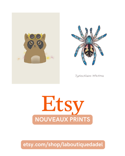 Image de présentation des deux nouveaux prints à la vente sur la boutique Etsy ; le premier représente un buste de tanuki portant des lunettes de soleil sur la tête, le second montre une mygale très colorée de l'espèce Typhochlaena seladonia.