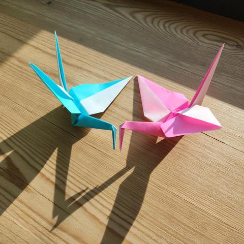 two origami cranes. one blue and white, the other pink and white