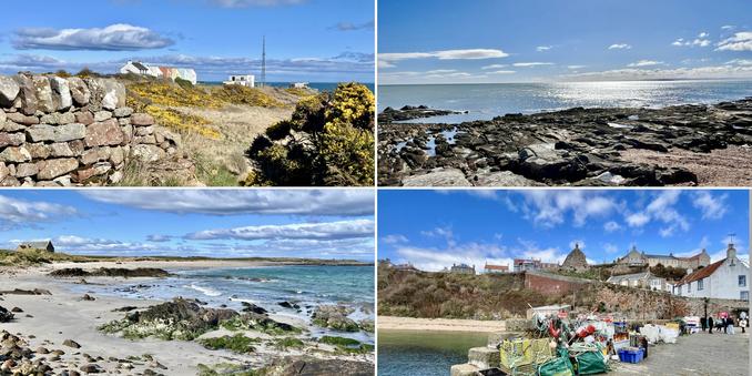 Four photo collage. Sunny, warm, early Spring day.bright blue skies, fluffy white clouds. Top left: reddish/ grey stone wall to left, yellow flowering gorse bush to right, through the gap colourful terraced houses and a communications mast. Top right: dark grey rocks leading out to a shimmering blue/grey sea. Bottom left: across grey/white sand, dark rocks and green seaweed to a blue sea in the bay, with shallow white waves. Small dark boat house to left. Bottom right: colourful fishing creels and nets by the harbour; blue harbour water to left; looking up to white washed and grey and reddish houses above the harbour.