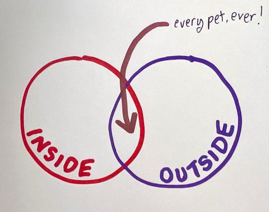 2 circles labelled ‘inside’ and ‘outside’
in the overlap it says ‘every pet, ever!’