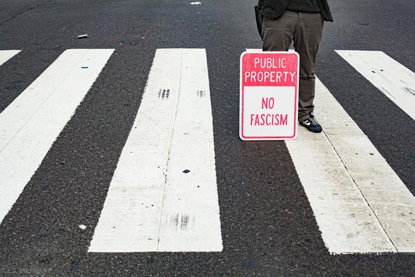 A person stands in the middle of a New York City crosswalk with a sign leaning against their leg, in the rectangular style of a no-parking sign that reads, "Public Property. No Fascism."  It was photographed in January 2017 during the Women's March protesting the forthcoming first Trump presidency.