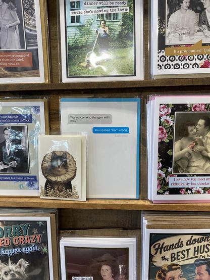 The card is surrounded on all sides by other humorous greeting cards.