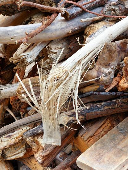 Verschiedene Hölzer liegen kreuz und quer übereinander: Bretter, Spaltholz, dicke und dünne Äste, alle in verschiedenen Brauntönen. Zu oberst liegt ein weißer Ast ohne Rinde, der beim Versuch ihn durchzubrechen in der Mitte zerborsten und zersplittert ist.   //  
Various pieces of wood lie criss-crossed on top of each other: boards, split wood, thick and thin branches, all in different shades of brown. At the top is a white branch without bark, which has cracked and splintered in the middle when you try to break through it.