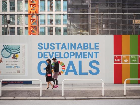 Lessons from Japan’s approach to adopt and advance the SDGs