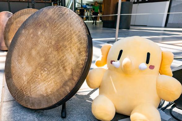 Photo of the Creature Mastodon stuffed toy sitting next to a drum in the outdoor set up for a daf ensemble during a bright, sunny day. The Creature is seated on the concrete floor of an outdoor mall, next to a leather daf that's just slightly bigger than it. Further in the background towards image-left are other dafs arranged in a semicircle.