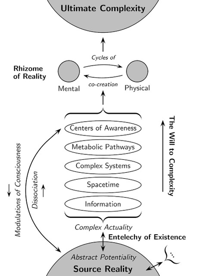 A diagram representing concepts related to complexity, consciousness, and reality. It includes sections labeled "Ultimate Complexity," "Rhizome of Reality," and "Source Reality," with terms such as "Centers of Awareness," "Metabolic Pathways," "Complex Actuality".