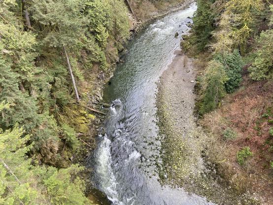 The view looking straight down from the capilano suspension bridge. The river cuts a narrow C shape through the frame, with dense green vegetation on the left, and a stony shore with gray stones on the right, with the stones getting more green the closer they are to the water.