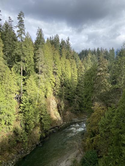 The view looking straight out from the Capilano suspension bridge. The sun has just broken through the clouds to highlight a bar of bright green through the middle of the tall evergreen trees. It contrasts with the dark river below and the dark dramatic sky above