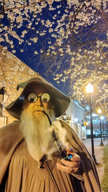 Middle aged man with long grey beard wearing Gandalf style outfit with hat and staff. Wearing creepy googly eye glasses  for April 1st. Blooming white tree in the background with street lamp.